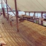 Oslo: Legendary Viking Treasures (Private Bus Tour) - Convenient Pickup from Multiple Oslo Locations