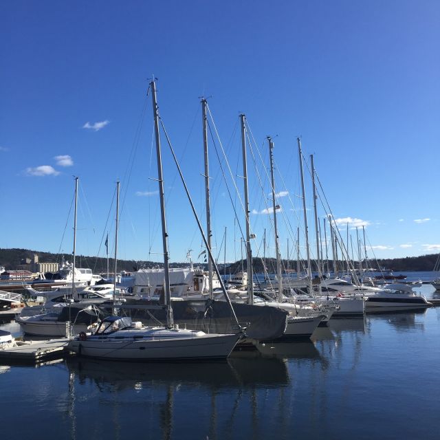 Oslo: Norwegian Explorers and Culture 3 Museum Tour - Summary of the Oslo: Norwegian Explorers and Culture 3 Museum Tour