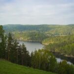 Oslo: Old-Growth Forest Hike with a Biologist - Starting Point at Kolbotn Train Station