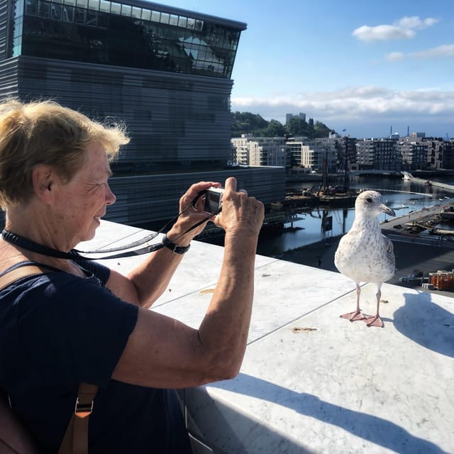 Oslo Unveiled: Private Walking Tour - The Expertise of Your Guides