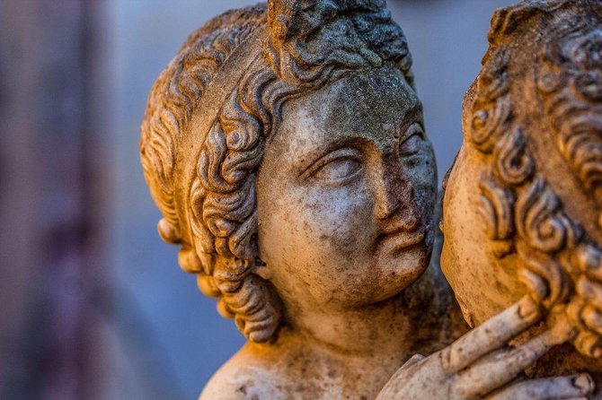 Ostia Antica - Half Day Private tour with Driver and Guide - Starting Point: Hotel Pickup and Drive Through the Roman Countryside