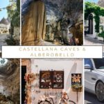 Ostuni, Locorotondo & Polignano: Semi-Private Tour (max 7 pax) - Key Points