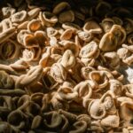 Ostuni: Pasta Making Class in the Winery - The Authentic Puglia Pasta Class Experience