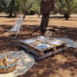 Ostuni: San Vito dei Normani: Organic Picnic in Olive Grove - The Unique Setting of the Boho Style Olive Grove