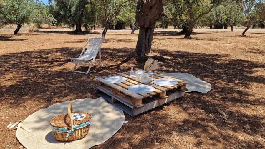 Ostuni: San Vito dei Normani: Organic Picnic in Olive Grove - The Unique Setting of the Boho Style Olive Grove