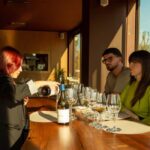 Ostuni's organic wines  tour and tasting in the winery - Visiting the Heart of the Itria Valley