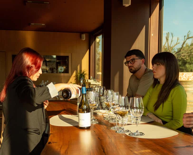 Ostuni's organic wines tour and tasting in the winery - Visiting the Heart of the Itria Valley