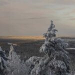 Oulu: Full-Day Trip to Syöte Fells and National Park - Detailed Overview of the Syöte Fells and National Park Tour