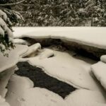 Oulu: Guided Winter Day Trip to Sanginjoki Nature Reserve - Exploring the Snowy Forests of Sanginjoki Nature Reserve