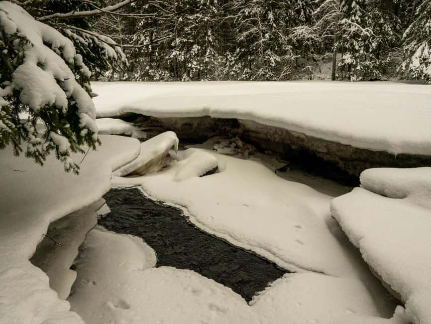 Oulu: Guided Winter Day Trip to Sanginjoki Nature Reserve - Exploring the Snowy Forests of Sanginjoki Nature Reserve