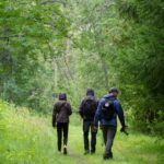Oulu: Hietasaari Family Nature Walk with Picnic - Discover the Natural Setting of Hietasaari in Northern Finland