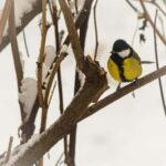 Oulu: Hietasaari Wildlife Hike with Nature Guide All Seasons - Meeting Point and Transportation Details