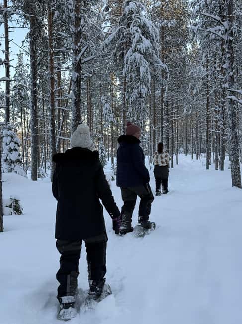 Överkalix - Lapland : Full-Day Snowshoe Tour with Lunch - The Snowshoeing Experience in Swedish Lapland