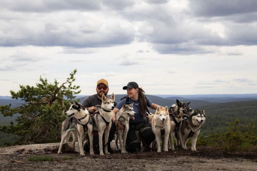 Överkalix - Lapland : Husky Cuddle and Fika Experience - Meeting the Boreal Pack of Huskies in Swedish Lapland