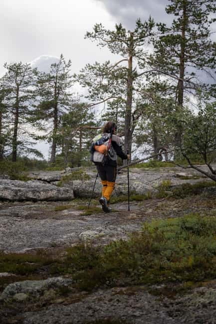 Överkalix - Lapland : Summer Hike and Midnight Sun Dinner - The Outdoor Lunch: Cooking and Sharing in the Wilderness