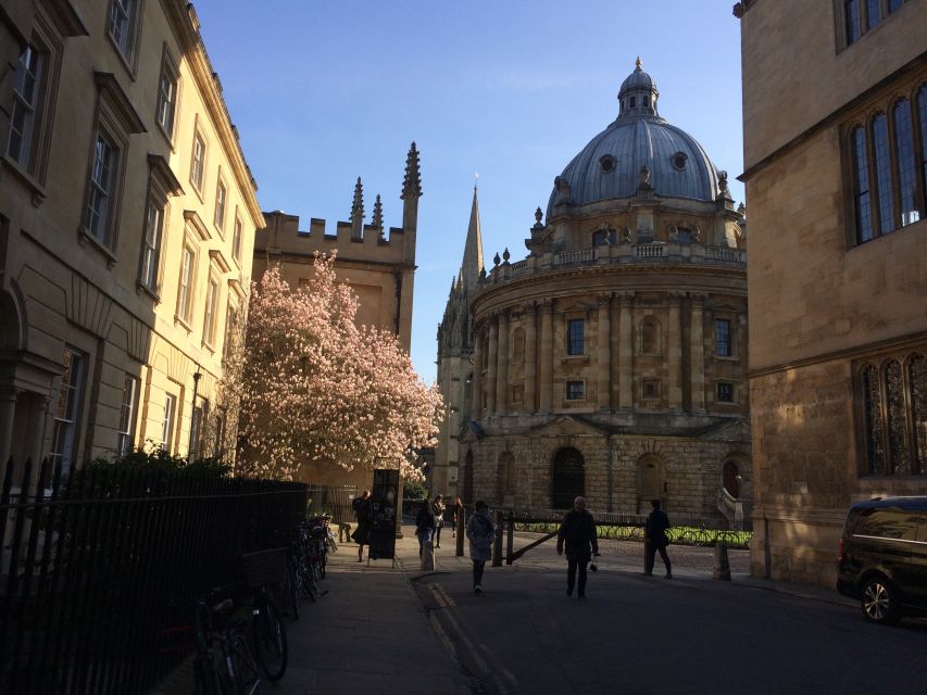 Oxford: Private City Tour & University Historical Highlights - Starting Point Outside the Ashmolean Museum