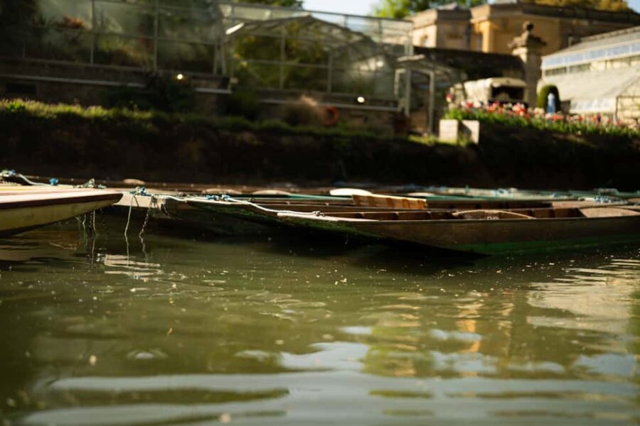 Oxford: University Private Punting Tour on River Cherwell - Cruising Past Christ Church Meadow and Lewis Carroll’s Inspiration