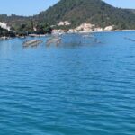 Oysters and mussels tasting with wine in Ston and Peljeac - The Oyster and Mussel Tasting Experience at Hodilje