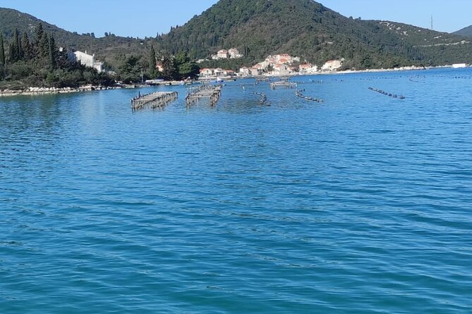 Oysters and mussels tasting with wine in Ston and Peljeac - The Oyster and Mussel Tasting Experience at Hodilje