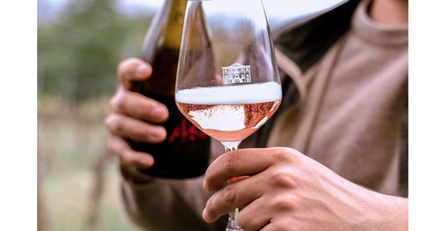 Ozzano Emilia: Guided Cellar Walking Tour with Wine Tasting - Exploring the Vineyard and Cellar Walk