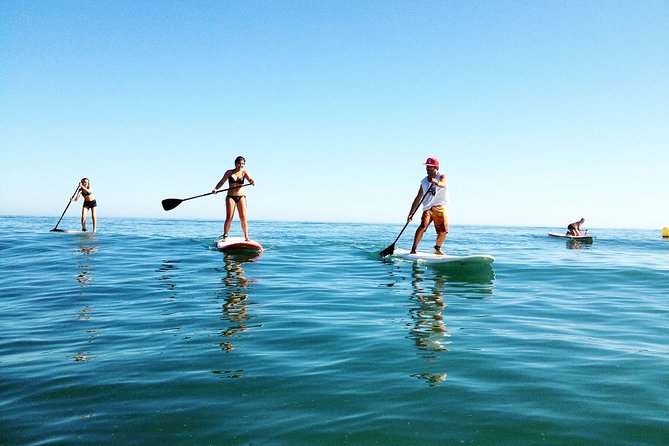 Paddle Boarding Tour on the beautiful Marbella Coast - Guides Who Know the Marbella Coast and Its Secrets
