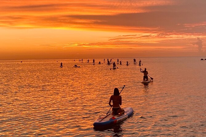 Paddle Surfing in Barcelona - Starting Point: SEA YOU Paddle Surf School on Passeig del Mare Nostrum