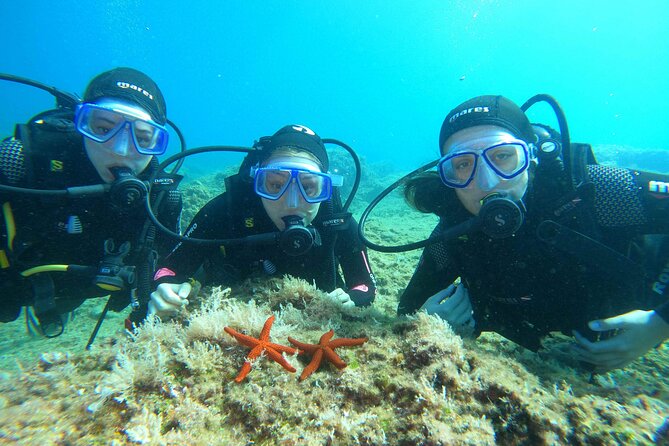 PADI Discover Scuba Diving in Dubrovnik - Equipment and Instruction for First-Time Divers