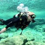 PADI Scuba Diving Program for Beginners in Peloponesse - The Location: Skalakia Rocky Beach and Scuba Turtles Dive Center