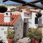 Paella Cooking Class in Tenerife Ancient Canarian Village - Learning How to Make Authentic Paella Step by Step
