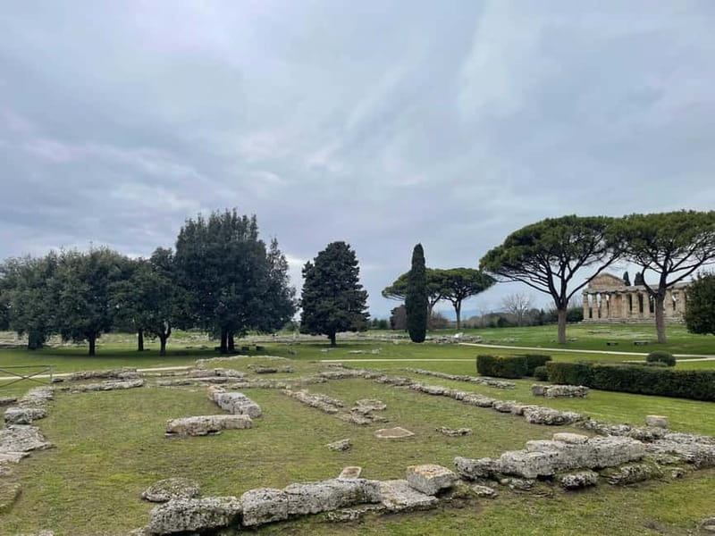 Paestum for cruise passengers - A Deep Dive into Paestum’s Ancient Temples