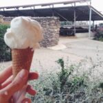 Paestum Traditions, Buffaloes, Ceramics, Temples - Meet the Buffaloes at the Barlotti Farm