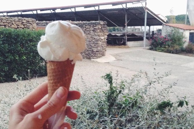 Paestum Traditions, Buffaloes, Ceramics, Temples - Meet the Buffaloes at the Barlotti Farm