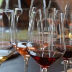 Pagus Wine Tours® - Sirmione by boat and Amarone - Full day tour - Starting at Pagus Wine Tours’ Verona Store