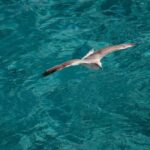 Palau-La Maddalena: tour giornaliero in barca per le isole - Flexibility and Booking Options