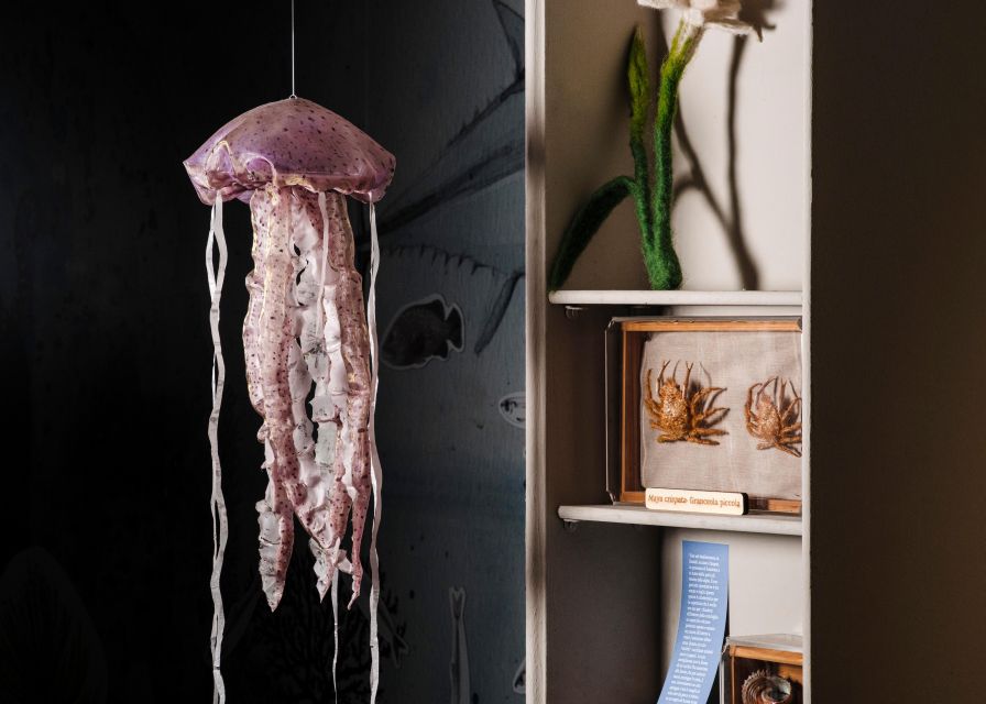 Palermo: sensorial experience of nature and ecology - Location and Meeting Details at Radici in Palermo