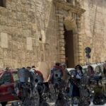 Palermo: Sunday Markets Guided Walking Tour with sweet break - Exploring Palermo’s Most Famous Markets: Ballarò and Capo