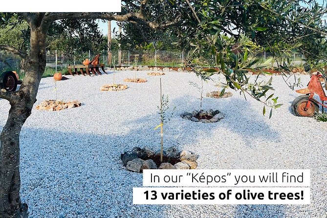 Pallada Semi-Private Olive Oil Tours in Sternes, Chania - Discovering Pallada Kèpos: A Botanical Introduction