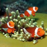 Palma Acquarium with Transfer - Inside Palma Aquarium: Marine Life and Interactive Exhibits