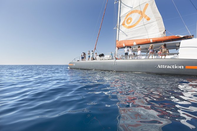 Palma Bay Catamaran Half-Day Cruise - Two Swim and Snorkel Stops for Refreshing Water Activities