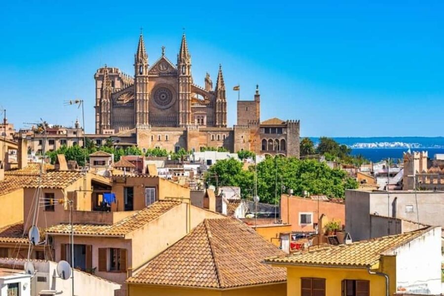Palma de Mallorca : Best Street Food Tour With A Local Guide - Visiting SOlivera for Mallorcan Classics