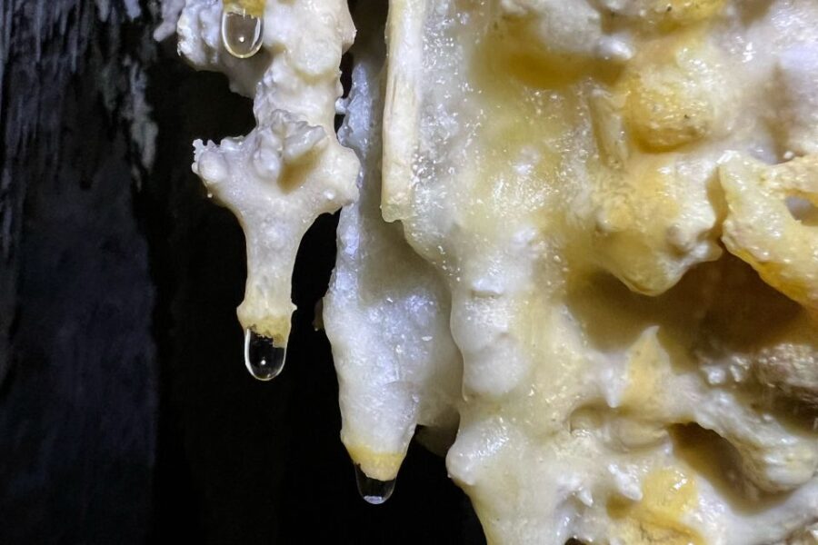 Palma de Mallorca: Es Marmols Cave Tour - Navigating the Narrow Ramp Catwalk and Vertical Passages