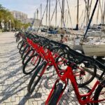 Palma de Mallorca: Guided Bicycle Tour with Tapas & a Drink - Starting Points and Tour Duration