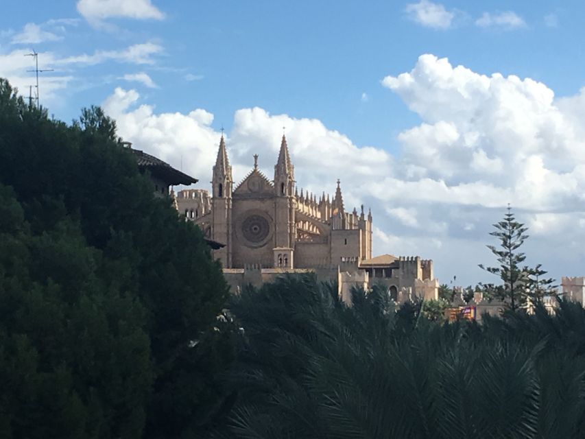 Palma de Mallorca: Guided Tour of the Old Town - From the Old Town to the Palace of Almudaina