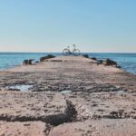 Palma de Mallorca Old Town Guided Bike Tour - The Magnificent Palma Cathedral and Its Interior
