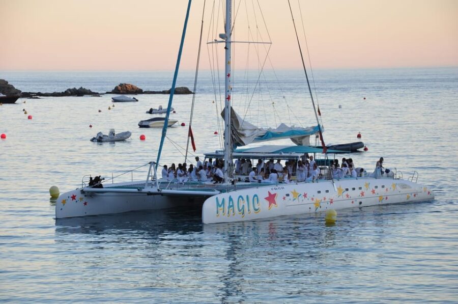 Palma de Mallorca: Sunset Sailing Catamaran Trip with Drink - Departure from Palma’s Port at the Magic Catamarans Dock