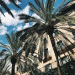 Palma: "History & Beauty" Eco-Friendly E-Scooter Tour - Starting Point at Carrer de la Corderia and Final Return