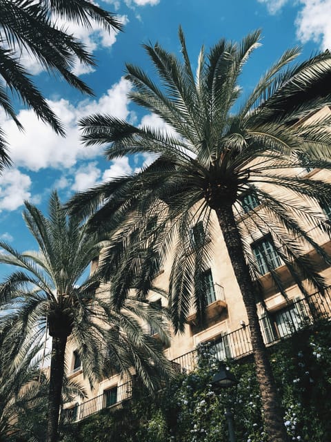 Palma: "History & Beauty" Eco-Friendly E-Scooter Tour - Starting Point at Carrer de la Corderia and Final Return