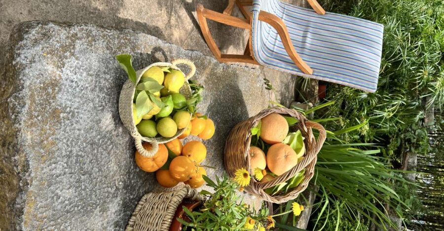 Palma: Orange Farm, Olive Mill, & Winery Tour with Tastings - Visiting an Authentic Orange Grove in the Golden Valley