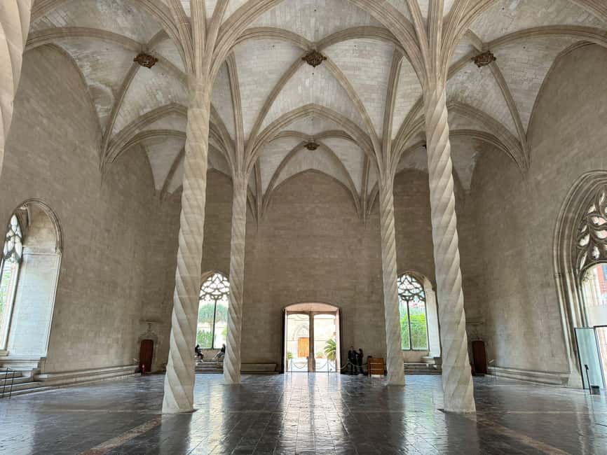 Palma Shore Excursion Bike Tour (Transfer Included) - Exploring Palma’s Historic Sites on Two Wheels