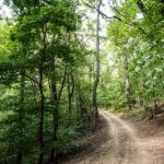 Panoramic hike around Budapest - Unique Features of the Forest Trails and Fairy Rock